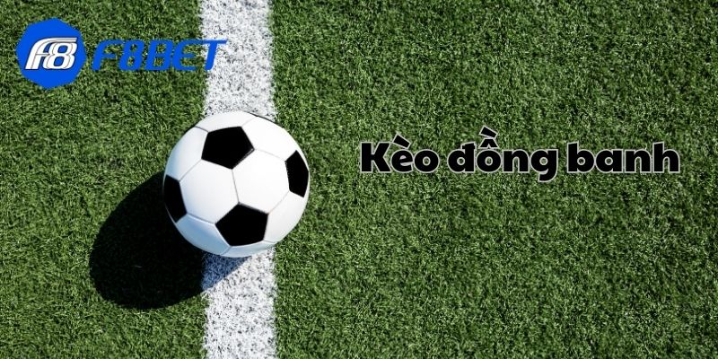 Lợi ích tuyệt vời mà bạn nên biết 