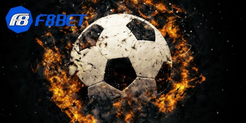 Cách giúp bạn tối ưu lợi nhuận