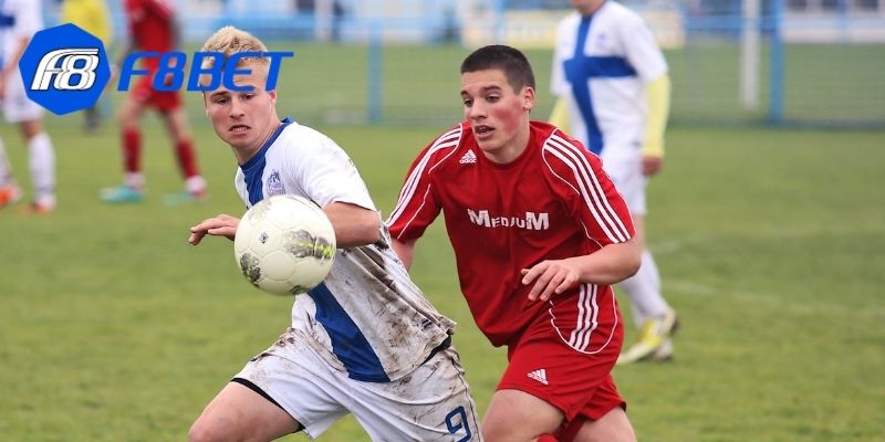 Một số đặc điểm mà bạn cần lưu ý