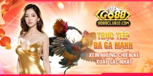 trực tiếp đá gà mạnh