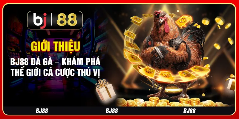 Giới Thiệu Bj88 Đá Gà – Khám Phá Thế Giới Cá Cược Thú Vị