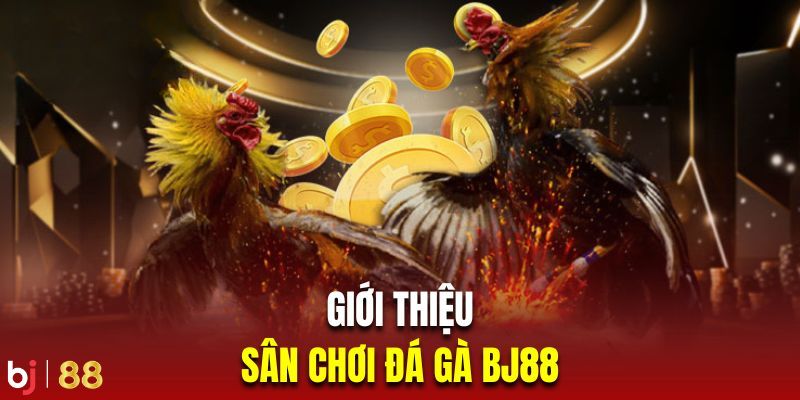 Nguồn gốc đá gà cần nhớ