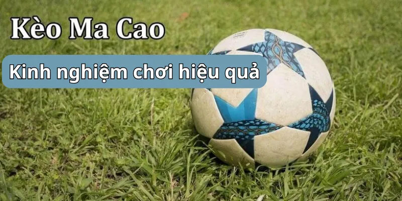 Mẹo chơi cá cược thắng lớn