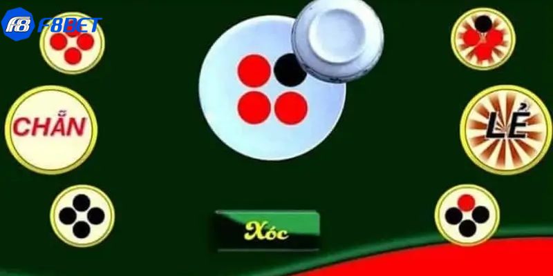 thuật toán xóc đĩa