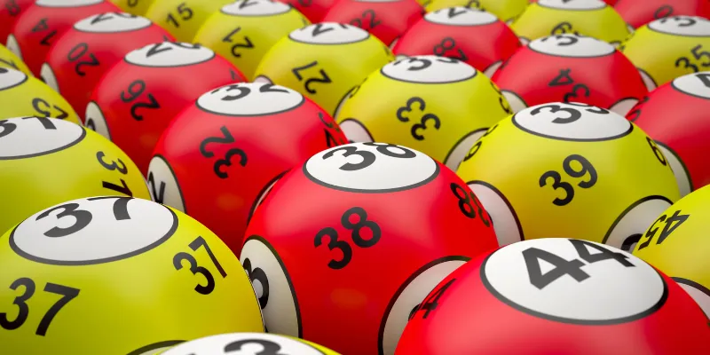 Lý Do Bạch Thủ Lô Được Yêu Thích