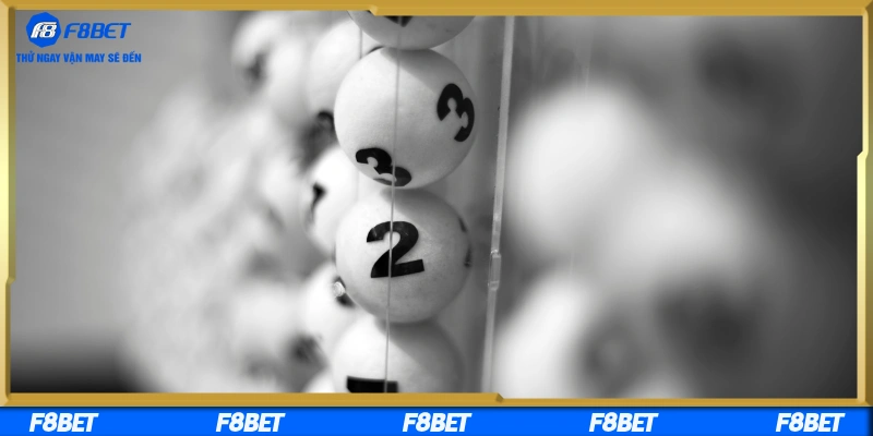 Hướng dẫn nuôi dàn đề hiệu quả