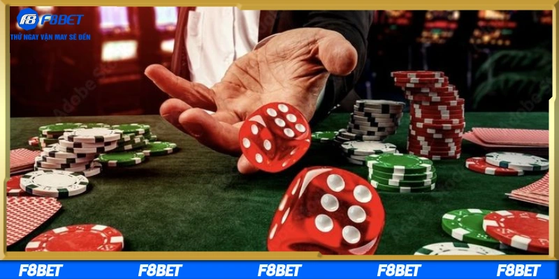 Hướng dẫn tải và trải nghiệm nhanh chóng