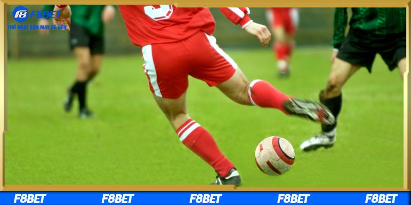 Cách tham gia cá cược dễ dàng