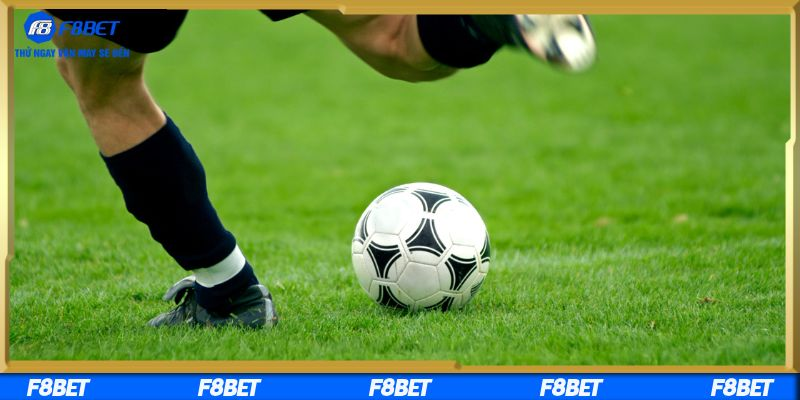 Cơ hội thắng lớn khi tham gia cá cược