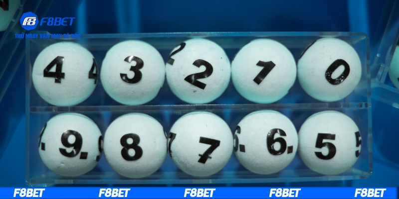 Tối ưu lô khung và nuôi đúng thời điểm