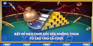 Bật Mí Mẹo Chơi Xóc Đĩa Không Thua Từ Cao Thủ Cá Cược