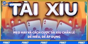 Mẹo hay và cách cược tài xỉu chẵn lẻ dễ hiểu, dễ áp dụng