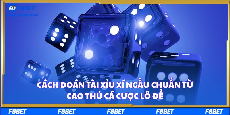 Cách Đoán Tài Xỉu Xí Ngầu Chuẩn Từ Cao Thủ Cá Cược Lô Đề