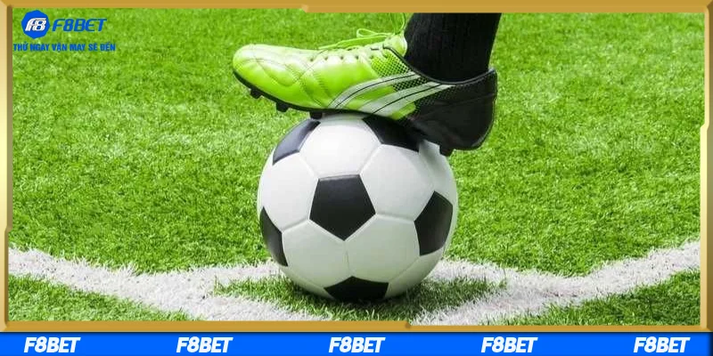 Tìm hiểu về chiến thuật cược tài xỉu