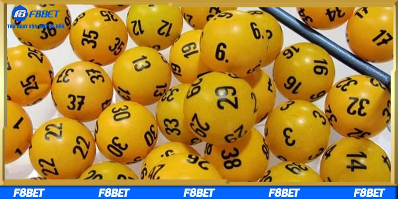 Cùng nền tảng tìm hiểu đề kép bằng