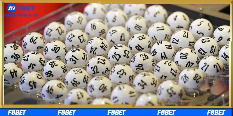 Chọn khung ngày phù hợp để nuôi đề hiệu quả